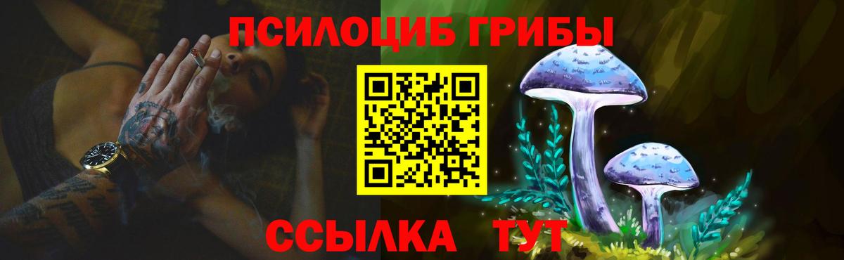 Галлюциногенные грибы Psilocybine cubensis Санкт-Петербург